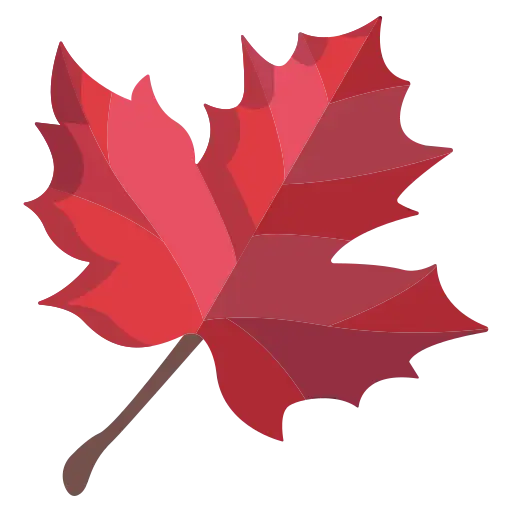 Red maple leaf icon symbolizing EcoGelX’s Canadian-made non-toxic Gel-X polish